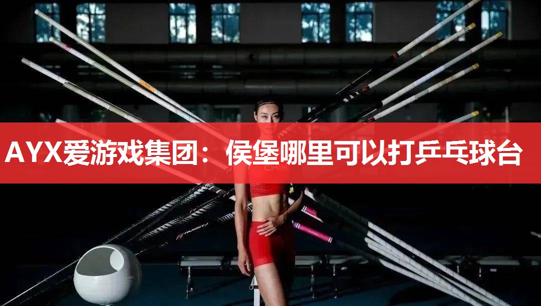 AYX爱游戏集团：侯堡哪里可以打乒乓球台