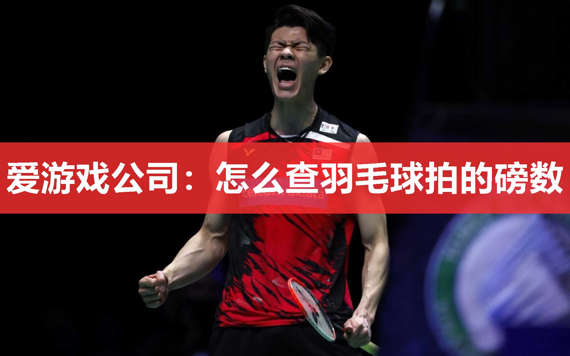 爱游戏公司：怎么查羽毛球拍的磅数