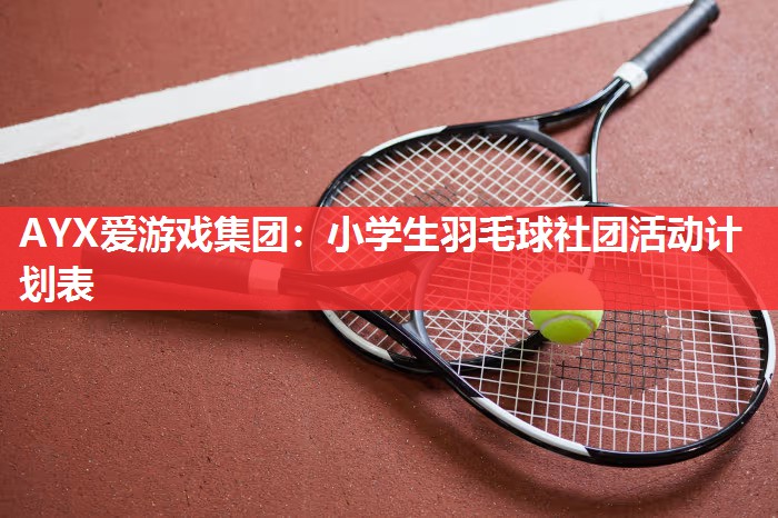 AYX爱游戏集团：小学生羽毛球社团活动计划表