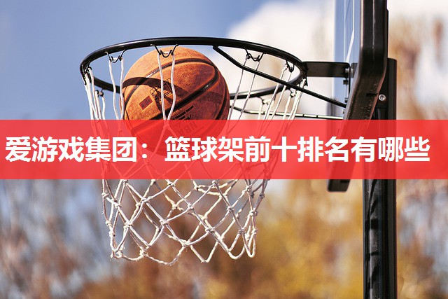 爱游戏集团：篮球架前十排名有哪些