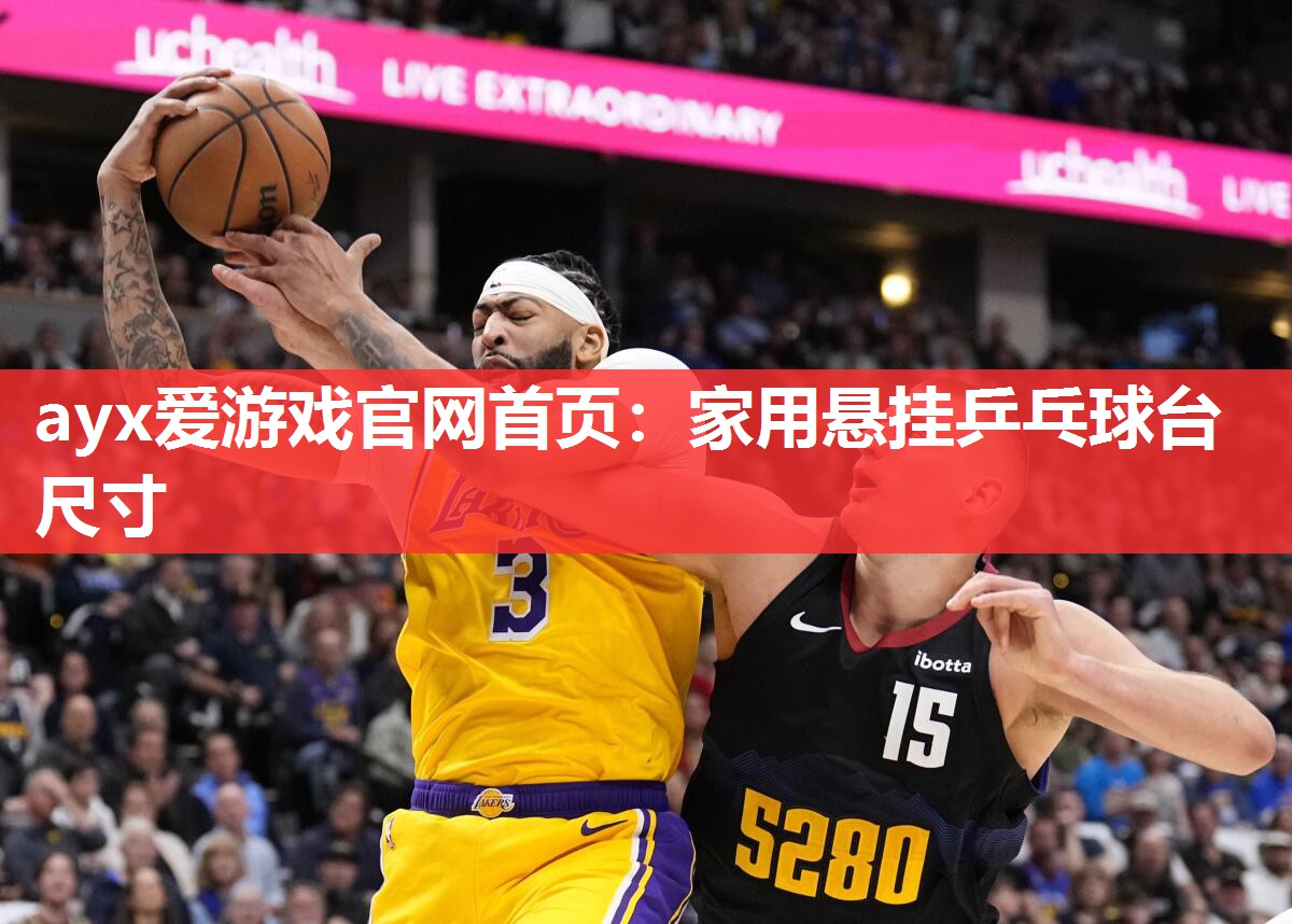 家用悬挂乒乓球台尺寸 家用悬挂乒乓球台尺寸