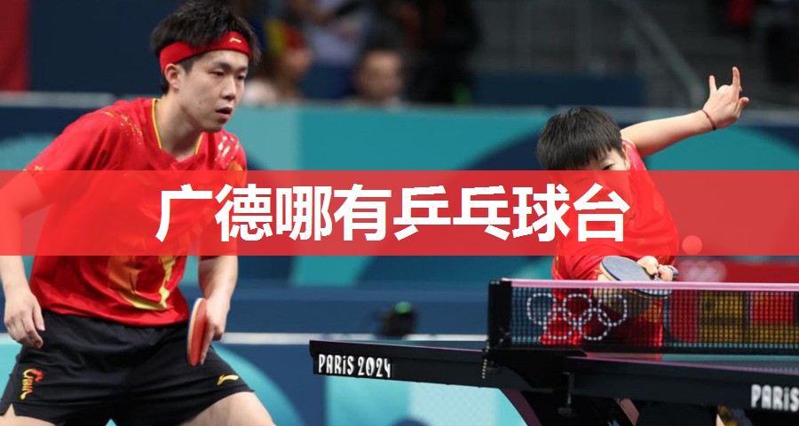 广德哪有乒乓球台 广德哪有乒乓球台