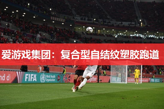复合型自结纹塑胶跑道 复合型自结纹塑胶跑道