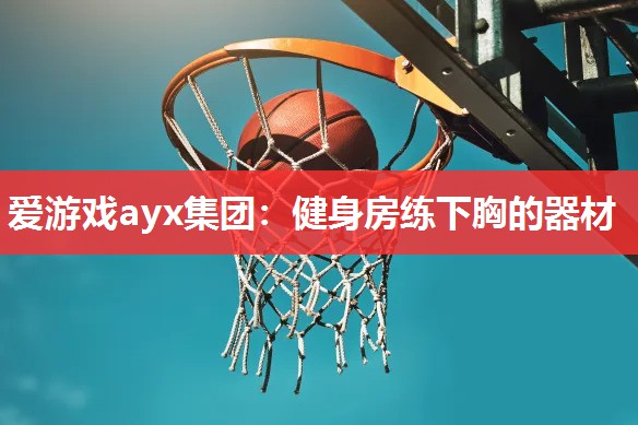健身房练下胸的器材 健身房练下胸的器材
