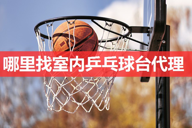 哪里找室内乒乓球台代理 哪里找室内乒乓球台代理