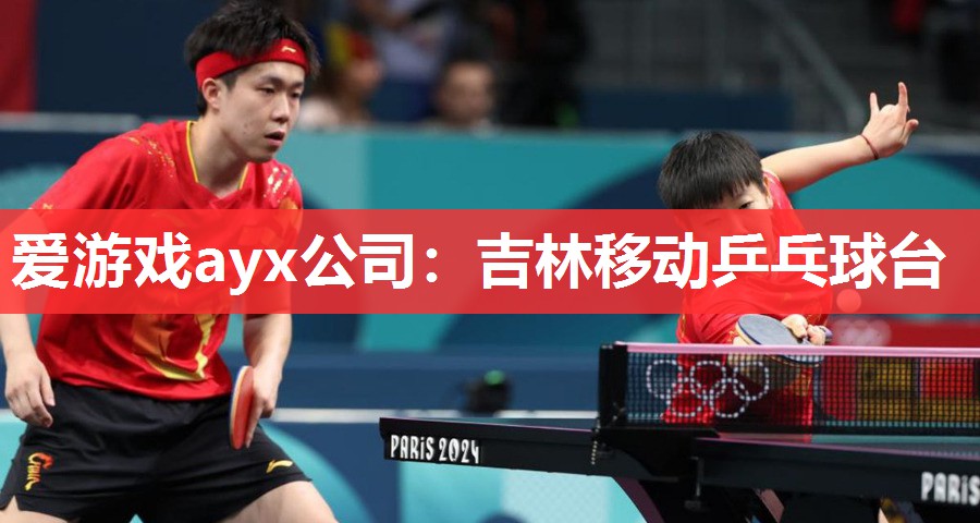 吉林移动乒乓球台 吉林移动乒乓球台