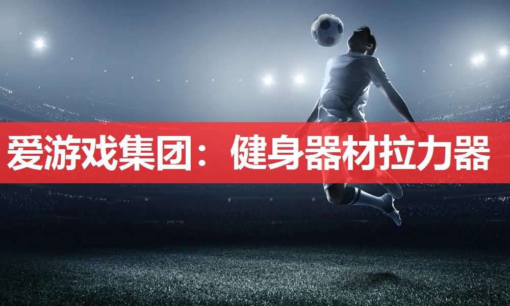健身器材拉力器 健身器材拉力器