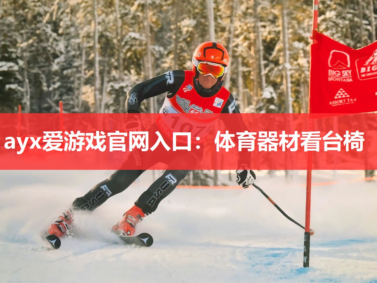 体育器材看台椅 体育器材看台椅
