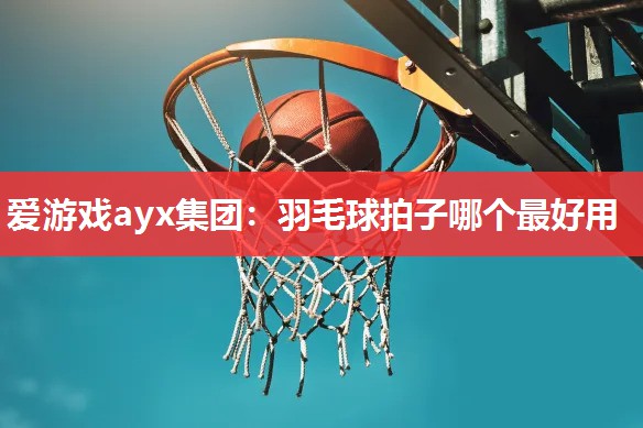 羽毛球拍子哪个最好用 羽毛球拍子哪个最好用