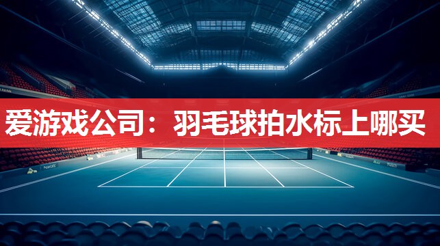羽毛球拍水标上哪买 羽毛球拍水标上哪买