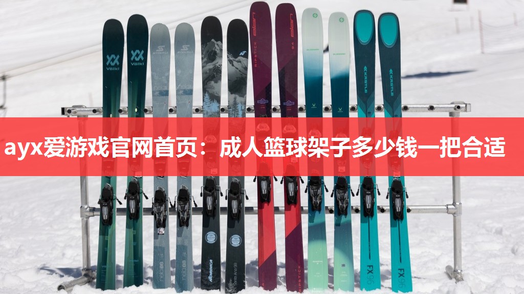 成人篮球架子多少钱一把合适 成人篮球架子多少钱一把合适