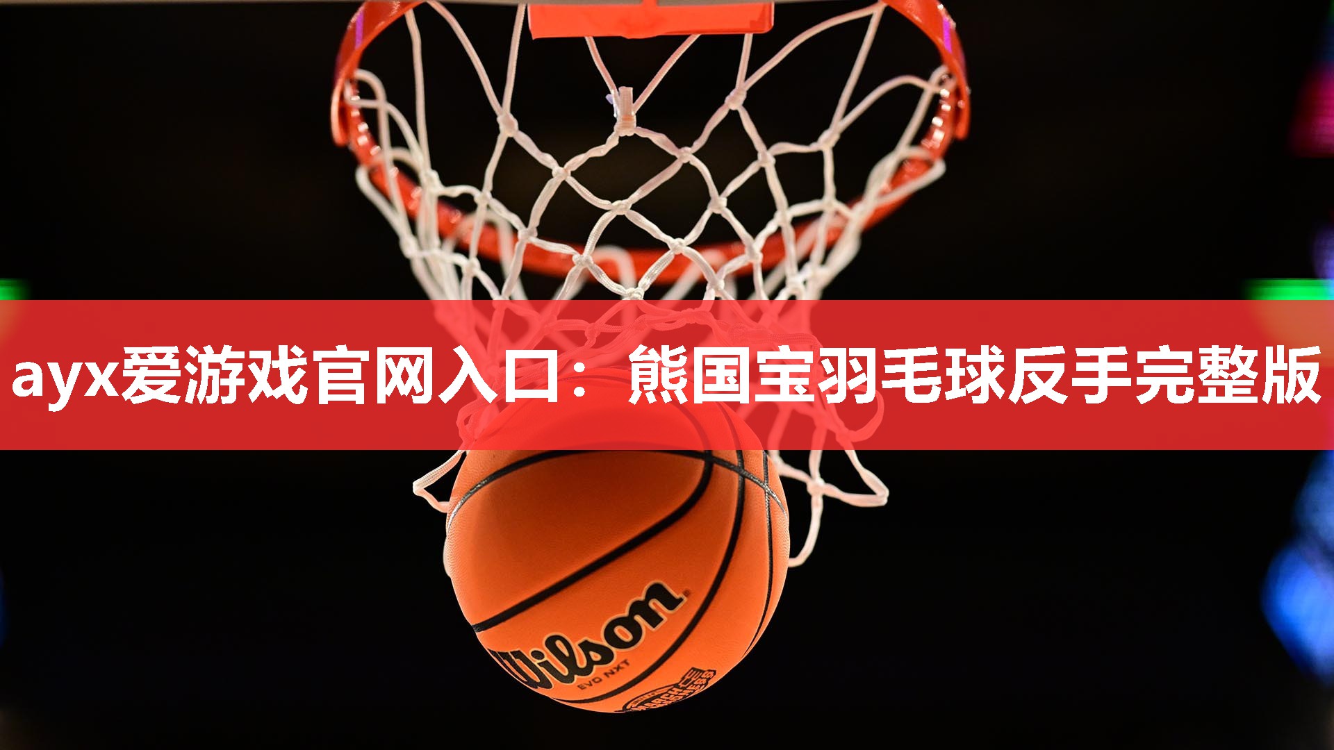 熊国宝羽毛球反手完整版 熊国宝羽毛球反手完整版