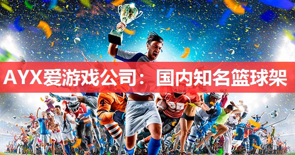 国内知名篮球架 国内知名篮球架