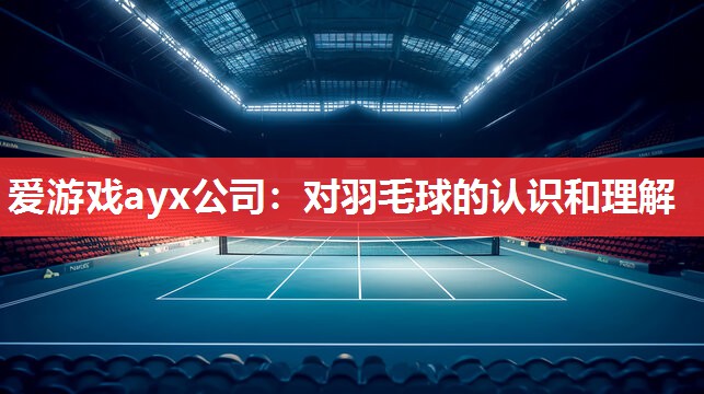 对羽毛球的认识和理解 对羽毛球的认识和理解
