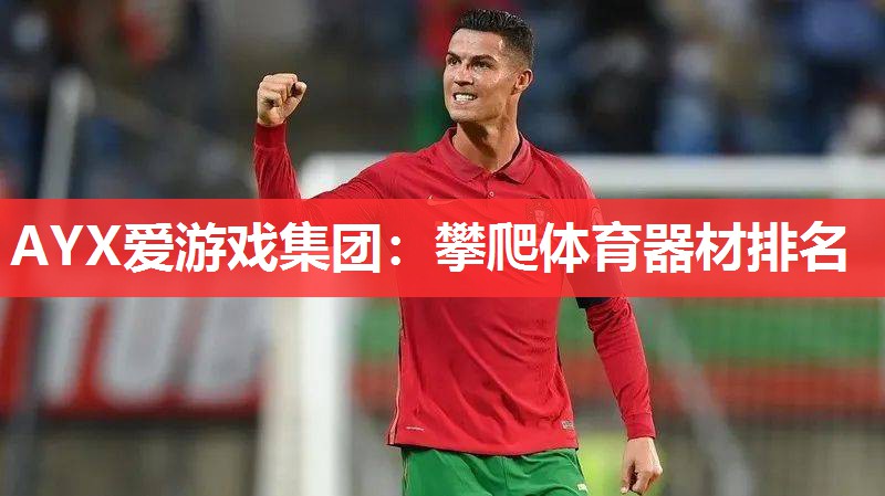 攀爬体育器材排名 攀爬体育器材排名