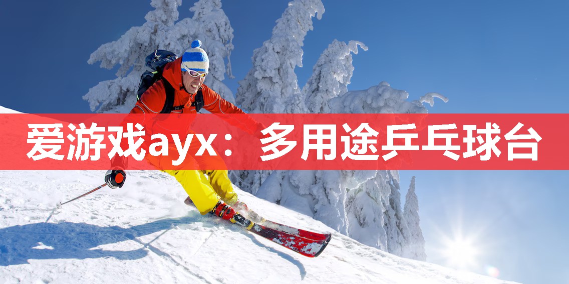 多用途乒乓球台 多用途乒乓球台