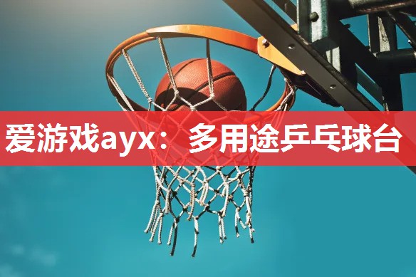 多用途乒乓球台 多用途乒乓球台